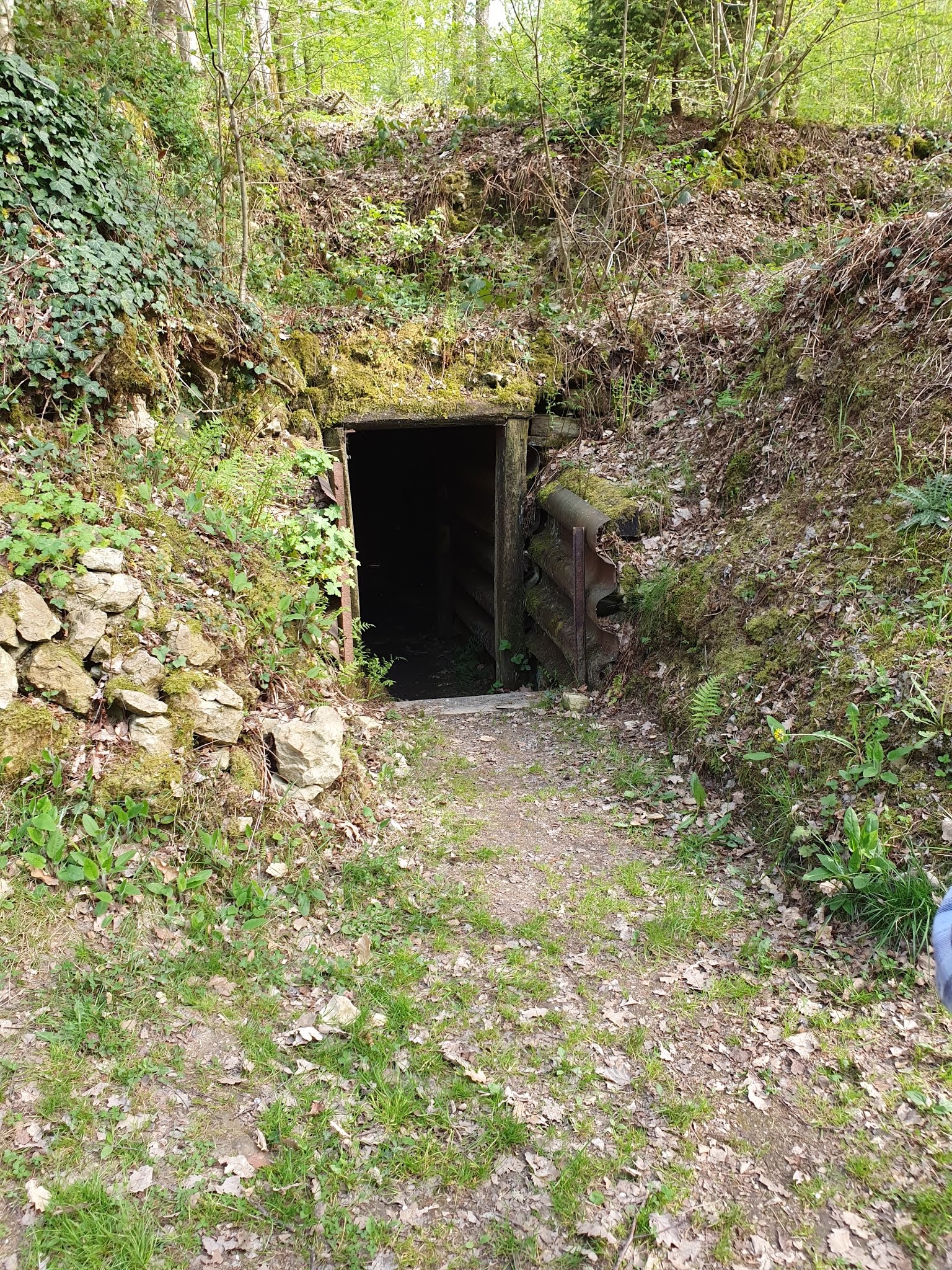 Photo n° 37 de l'avis de Nachtalb. fait le 23/04/2019 à 12:32