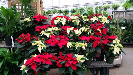 Garden Center «Merrifield Garden Center», reviews and photos, 12101 Lee Hwy, Fairfax, VA 22030, USA