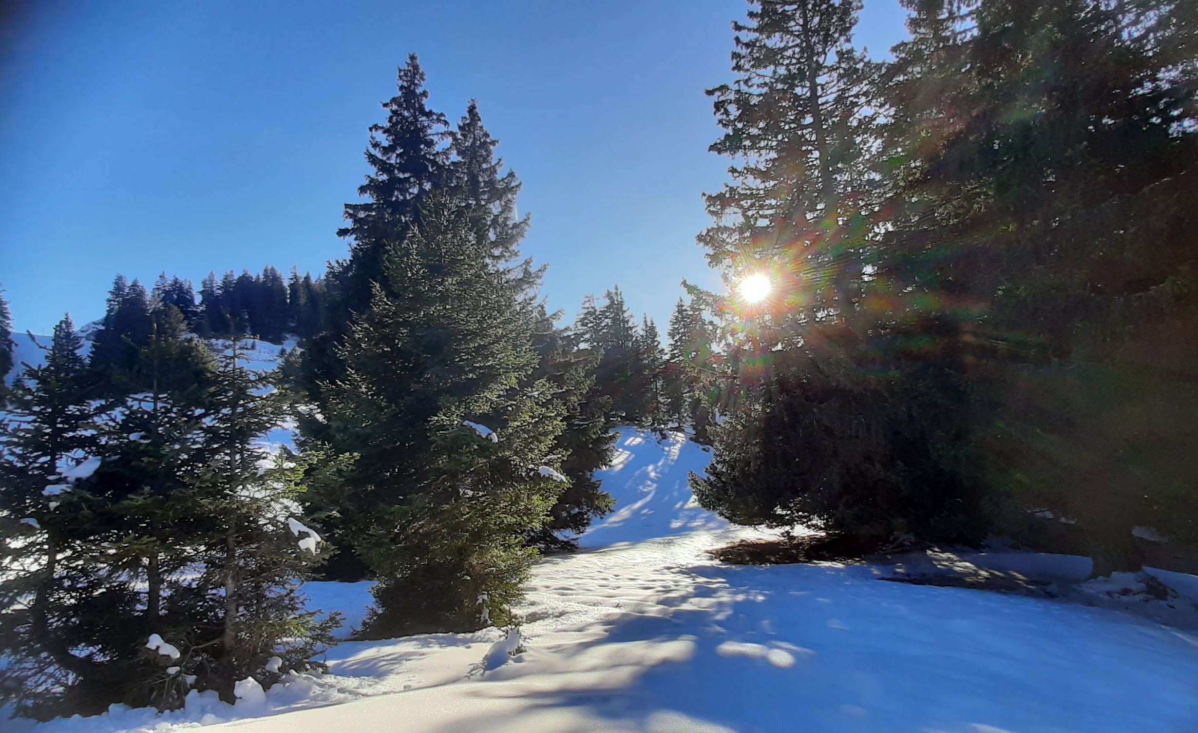 Photo n° 2 de l'avis de Marie.e fait le 26/12/2023 à 16:50