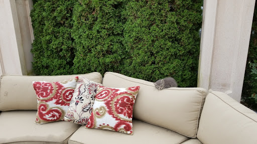 Caterer «El Caribe Country Club Caterers», reviews and photos, 5945 Strickland Ave, Brooklyn, NY 11234, USA