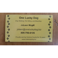 One Lucky Dog Pet Sitting & Dog Walking - Photo 8 - Car repair in Newbury Park, CA, Oxnard