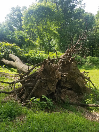 Park «Conant Park», reviews and photos, 310 Conant St, Hillside, NJ 07205, USA