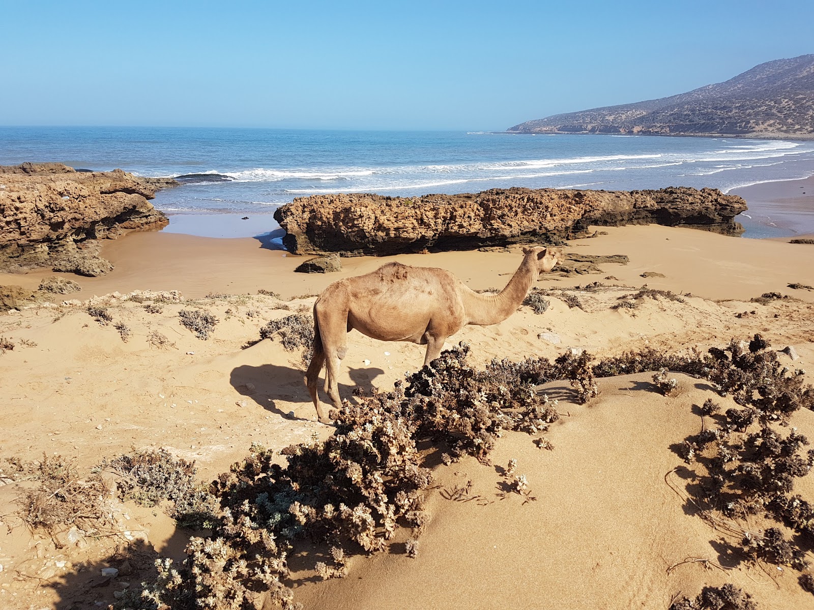 Plage Taftast Ouaoulil'in fotoğrafı düz ve uzun ile birlikte