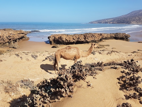 Plage photo #3