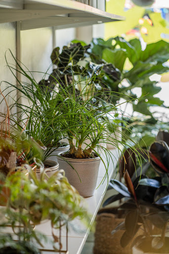 Florist «Pollen», reviews and photos, 2918 N Milwaukee Ave, Chicago, IL 60618, USA