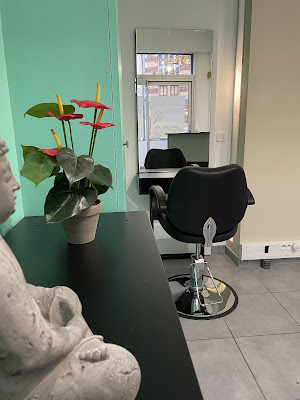 Les pros du pou, traitement, salon, centre, institut contre les poux sur Paris à Paris