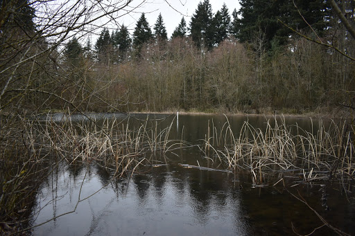 Tourist Attraction «NatureScaping Wildlife Botanical Gardens», reviews and photos, 11000 NE 149th St, Brush Prairie, WA 98606, USA