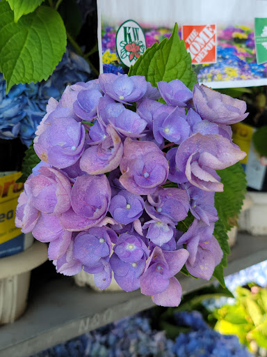 Home Improvement Store «The Home Depot», reviews and photos, 701 W Edgar Rd, Linden, NJ 07036, USA