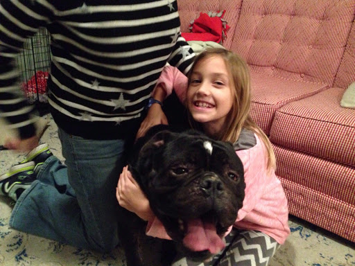 Animal Shelter «South Suburban Humane Society», reviews and photos