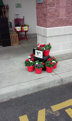 Grocery Store «Giant Food Stores», reviews and photos, 216 E Fairmount St, Coopersburg, PA 18036, USA