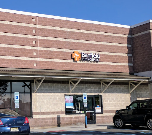 Pet Supply Store «PetSmart», reviews and photos, 60 NJ-17, Paramus, NJ 07652, USA