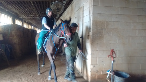 Casino «Hollywood Casino at Charles Town Races», reviews and photos, 580 E 5th Ave, Ranson, WV 25438, USA