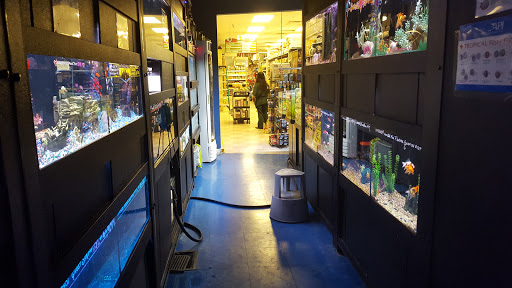 Pet Store «Petland Village of East Side», reviews and photos, 6401 Penn Ave, Pittsburgh, PA 15206, USA