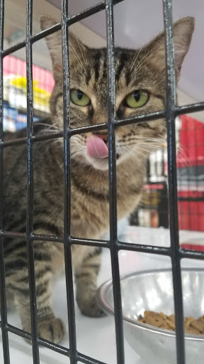 Pet Supermarket, 938 Semoran Blvd, Casselberry, FL 32707, USA, 