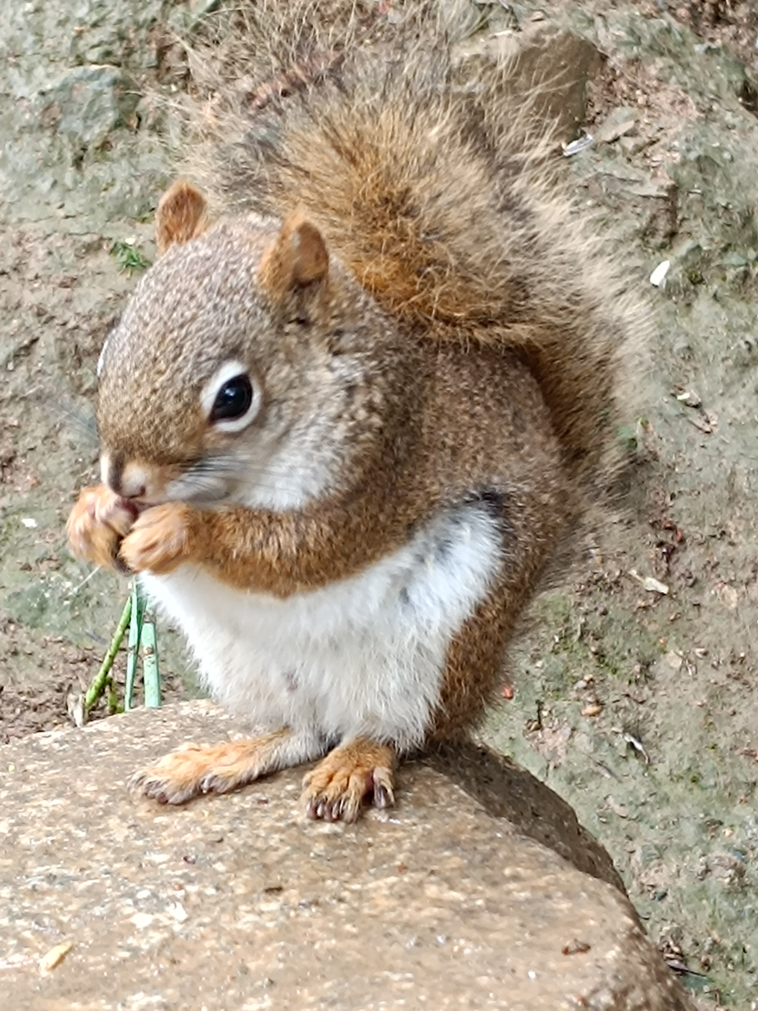 Photo n° 2 de l'avis de David.o fait le 10/09/2023 à 17:07