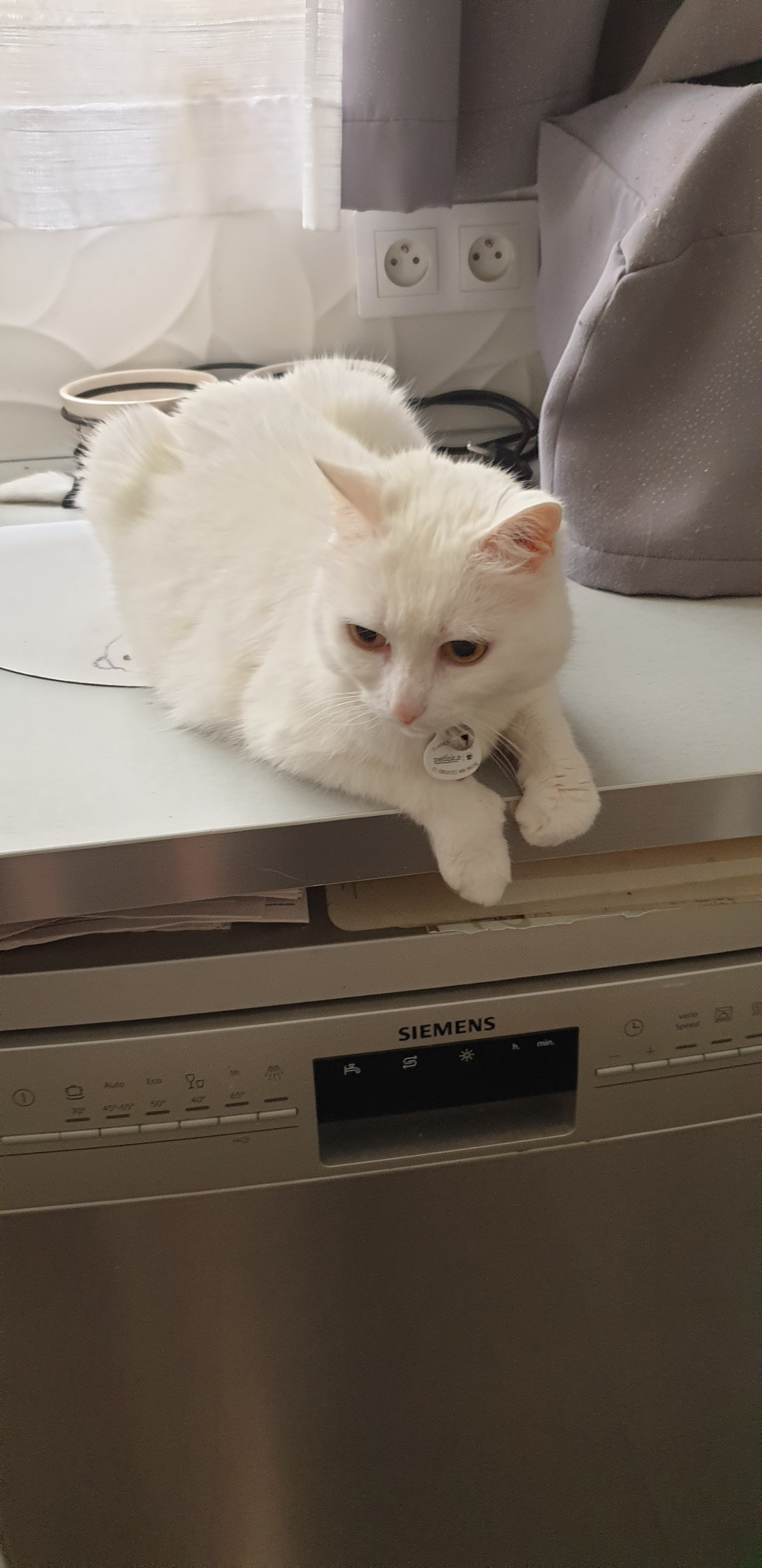 Photo n° 1 de l'avis de Brigitte.A fait le 17/06/2022 à 12:03