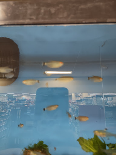 Pet Supply Store «Petco Animal Supplies», reviews and photos, 430 N Euclid St, Anaheim, CA 92801, USA