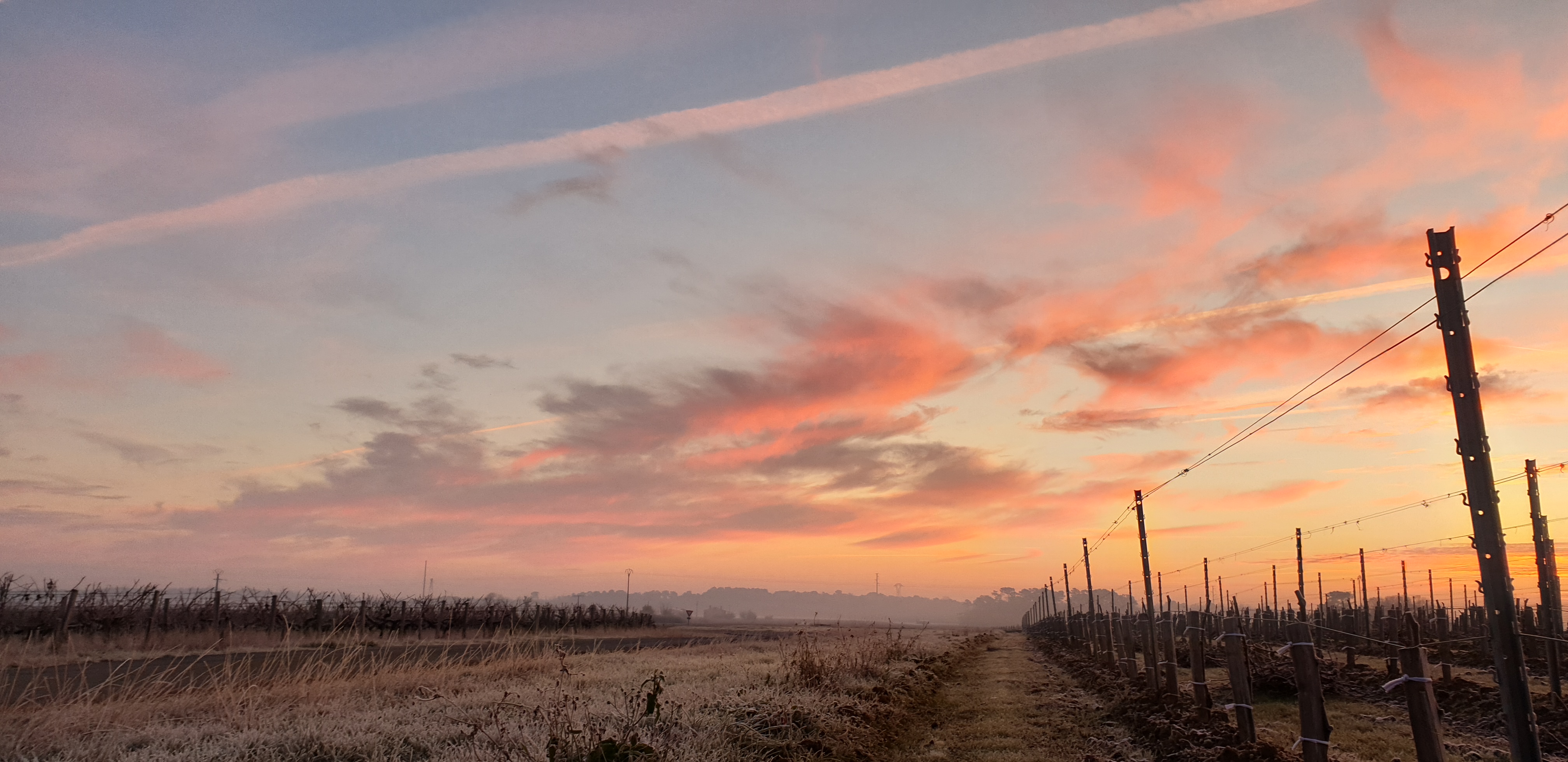 Photo n° 2 de l'avis de GERALD.E fait le 21/01/2019 à 15:19