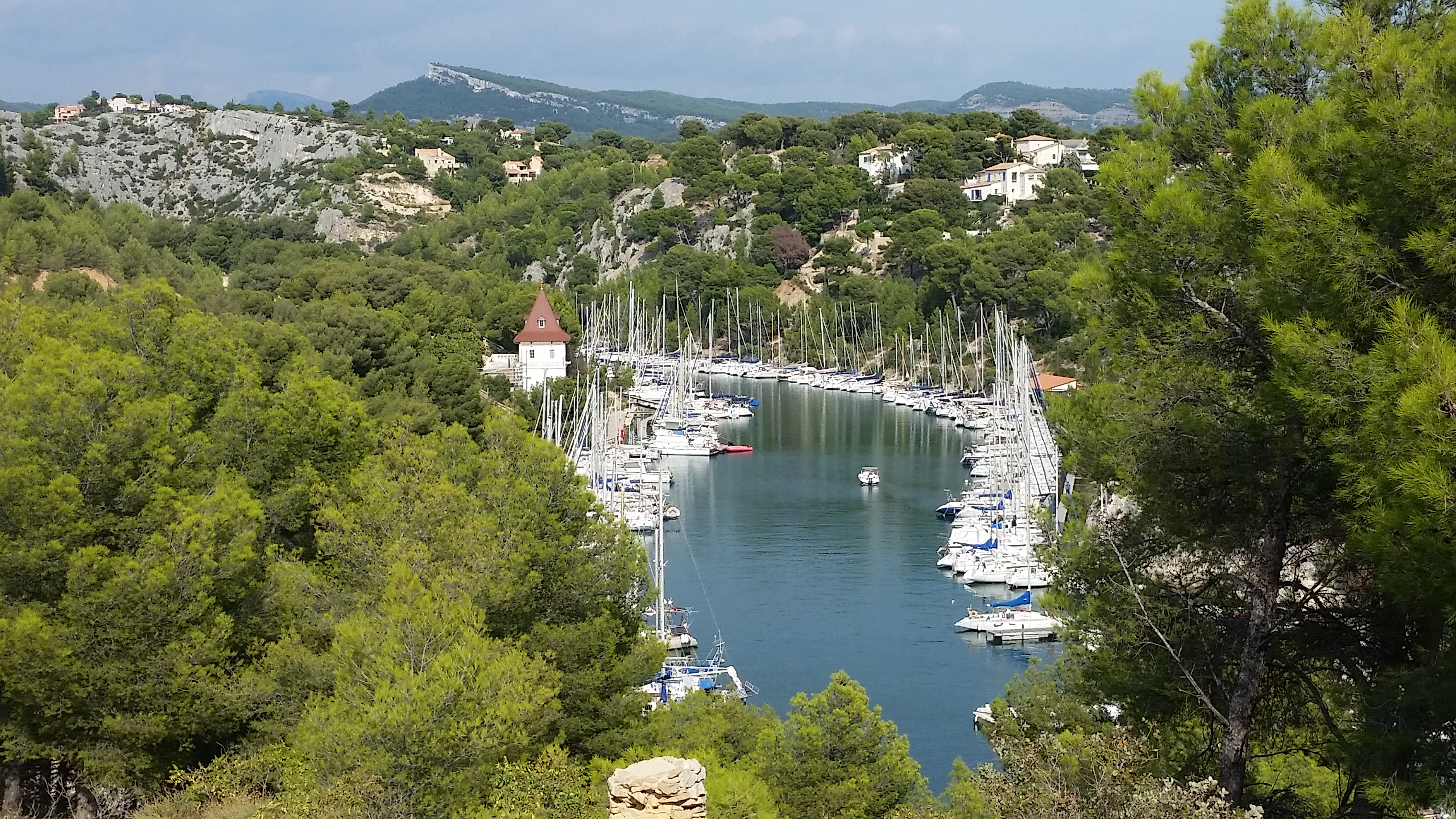 Photo n° 3 de l'avis de A. fait le 18/09/2018 à 12:48