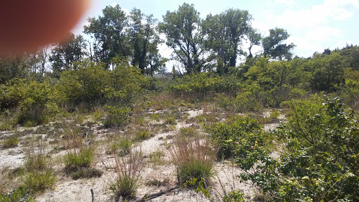 Recreation Center «Sandy Hook - Gateway National Recreation Area», reviews and photos, 128 S Hartshorne Dr, Highlands, NJ 07732, USA