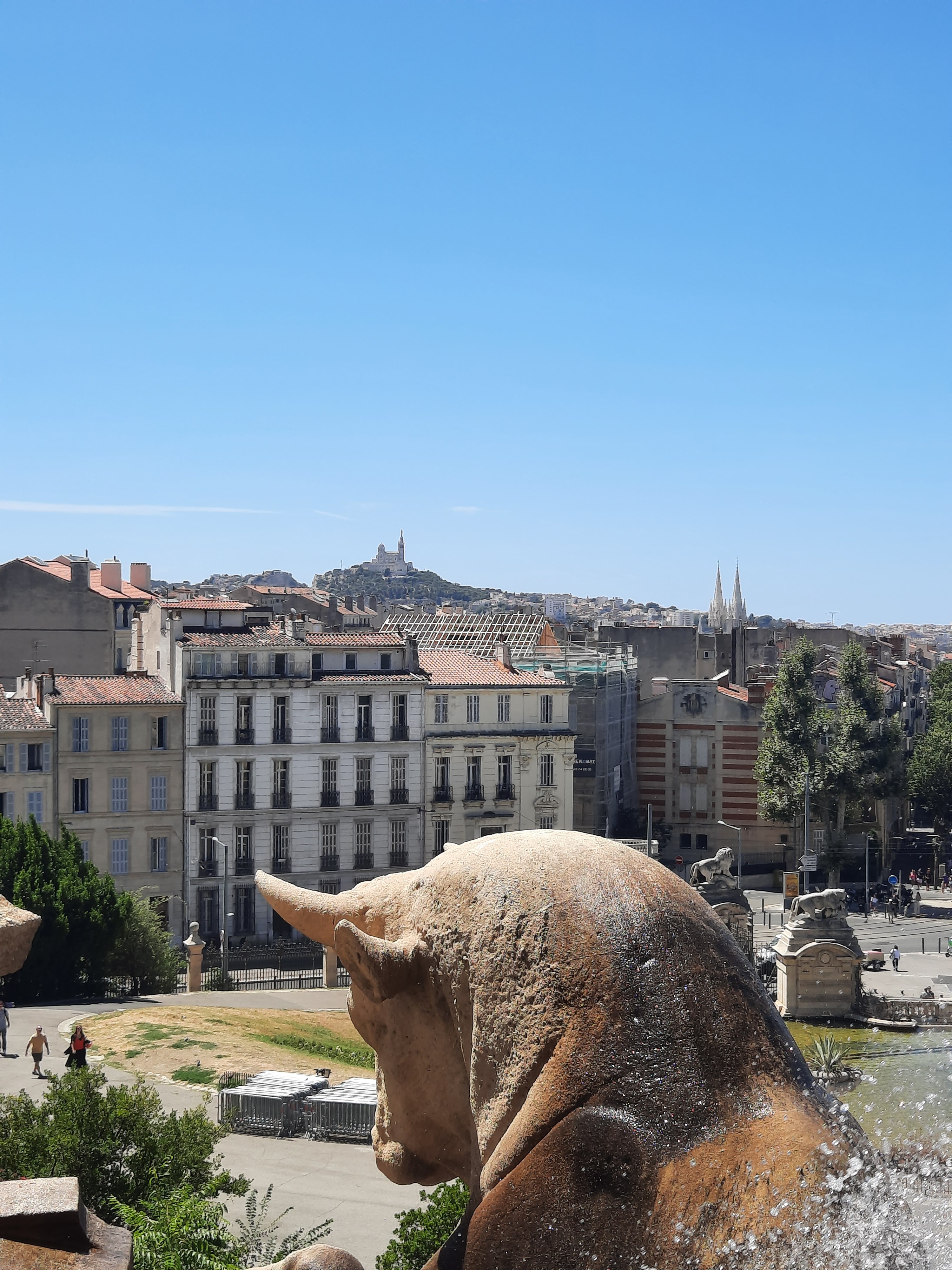 Photo n° 5 de l'avis de tortugafr. fait le 16/08/2023 à 13:08
