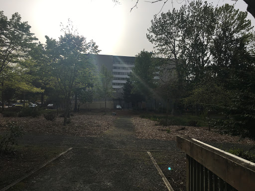 Park «Tukwila Pond Park», reviews and photos, 299 Strander Blvd, Tukwila, WA 98188, USA