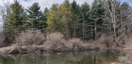 Nature Preserve «Sutherland Nature Sanctuary», reviews and photos, 3998 Diehl Rd, Metamora, MI 48455, USA