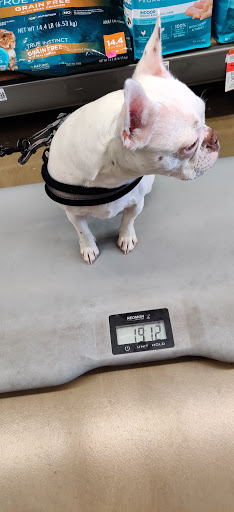 Pet Supply Store «Pet Supplies Plus», reviews and photos, 400 Lowell Ave Suite 14, Haverhill, MA 01832, USA