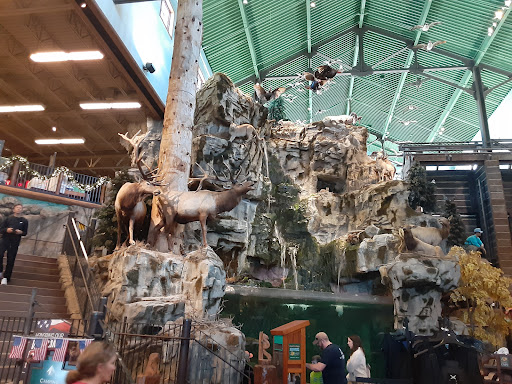 Sporting Goods Store «Bass Pro Shops», reviews and photos