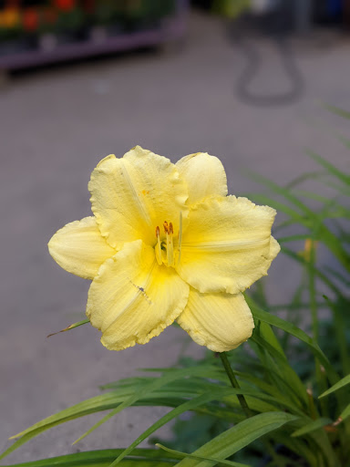 Home Improvement Store «The Home Depot», reviews and photos, 9051 Snowden River Pkwy, Columbia, MD 21046, USA