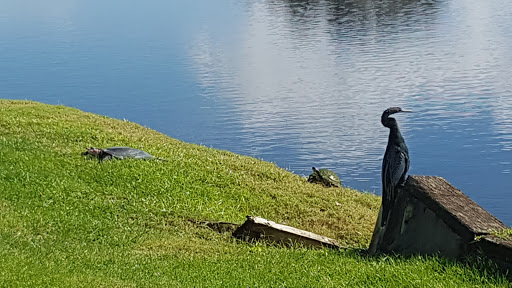 Country Club «Rosedale Golf & Country Club», reviews and photos, 5100 87th St E, Bradenton, FL 34211, USA