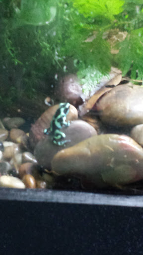 Tourist Attraction «IMAG History & Science Center (formerly Imaginarium Science Center)», reviews and photos, 2000 Cranford Ave, Fort Myers, FL 33916, USA