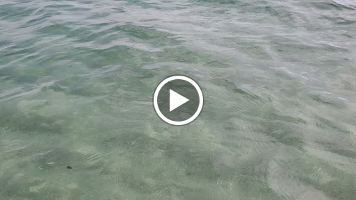 Community Center «Town Of Surfside Community Center», reviews and photos, 9301 Harding Ave, Surfside, FL 33154, USA