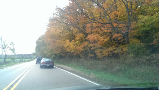 Nature Preserve «Brunner Family Forest Preserve», reviews and photos, 18N681 State Rte 31, Carpentersville, IL 60110, USA