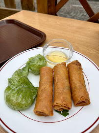 Rouleau de printemps du Restaurant chinois Délices Lepic à Paris - n°6