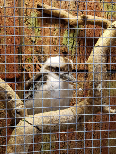 Pet Store «Pet Kingdom», reviews and photos, 4650 S Cleveland Ave, Fort Myers, FL 33907, USA