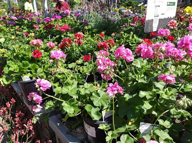 Home Improvement Store «The Home Depot», reviews and photos, 500 S Marengo Ave, Alhambra, CA 91803, USA