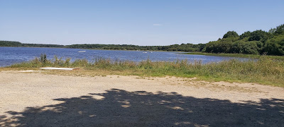 Étang du boulet à Feins