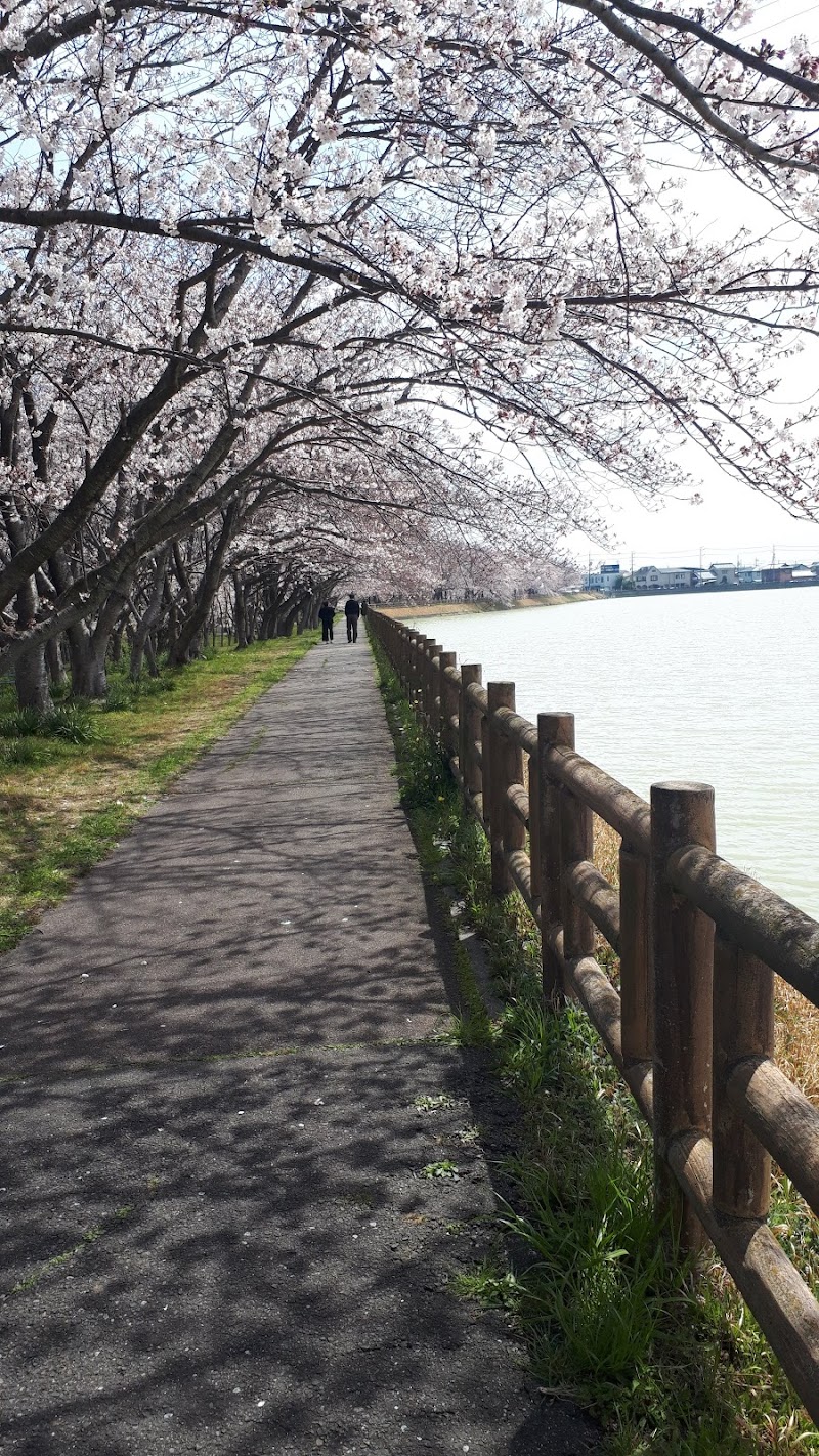 石垣池公園野球場