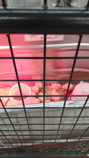 Home Improvement Store «Tractor Supply Co.», reviews and photos, 35874 US-27, Haines City, FL 33844, USA