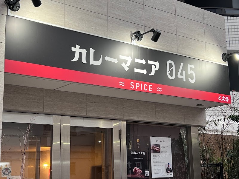 カレーマニア045-SPICE-伊勢佐木町店 スパイス欧風カレー
