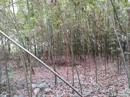 Top 20 cửa hàng son môi Huyện Kim Bảng Hà Nam 2022