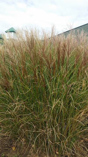 Golf Course «Tates Creek Golf Course», reviews and photos, 1400 Gainesway Dr, Lexington, KY 40517, USA