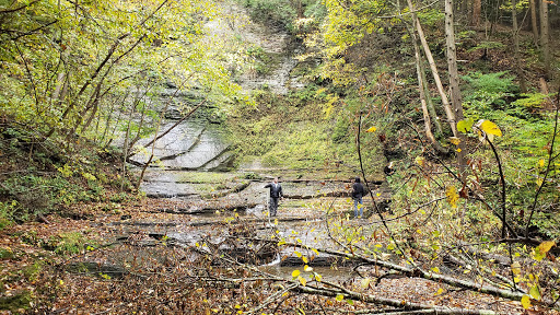 Nature Preserve «Sweedler and Thayer Preserves», reviews and photos, 10 Townline Rd, Ithaca, NY 14850, USA