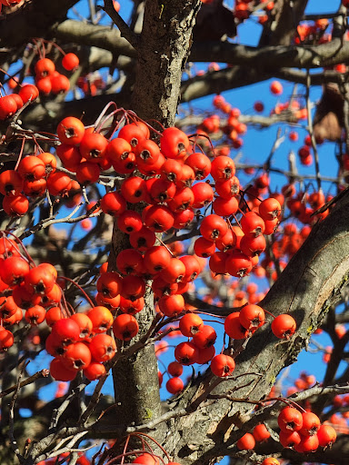 Shopping Mall «Union Square Shopping Center», reviews and photos, 3819 Union Deposit Rd, Harrisburg, PA 17109, USA