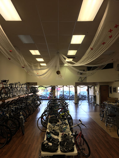 Bicycle Store «Sprockets Bicycle Shop», reviews and photos, 231 W Hickory St, Denton, TX 76201, USA