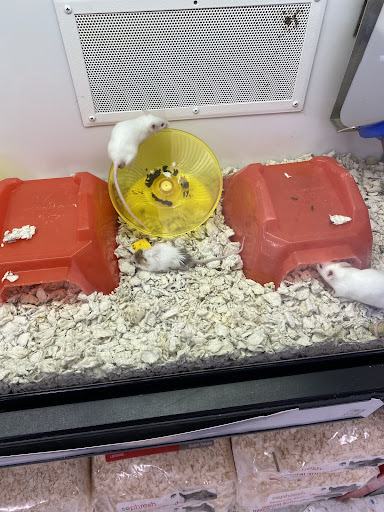 Pet Supply Store «Petco Animal Supplies», reviews and photos, 92 Cluff Crossing Rd, Salem, NH 03079, USA