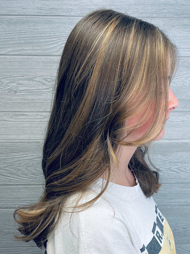 Beauty Salon «Tortoise & the Hair Salon», reviews and photos, 6681 Rochester Rd, Troy, MI 48085, USA