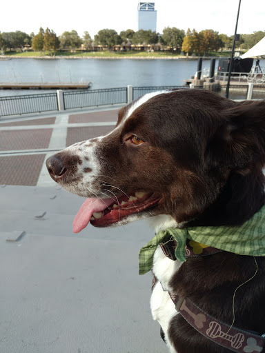 Park «Cranes Roost Park», reviews and photos, 274 Cranes Roost Blvd, Altamonte Springs, FL 32701, USA