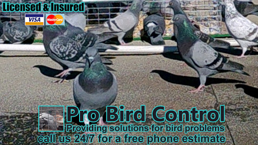 Pro Bird Control Fort Wayne